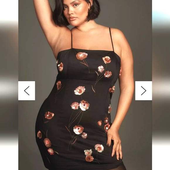 Anthropologie Dresses & Skirts - Nwt ANTHROPOLGIE maeve Dress- 14